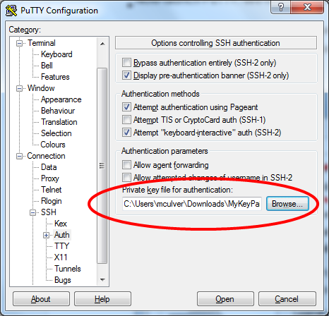 Navigate back to the top of the tree and enter ec2-user@ec2-your-dns-address in the Host Name (or IP address) field.