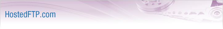 HostedFTP Case Study HostedFTP Case Study