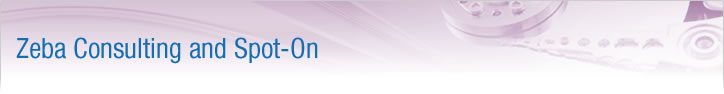 Zeba Consulting