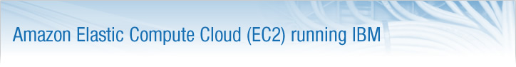 Amazon Elastic Compute Cloud Running IBM (Beta) Amazon Elastic Compute Cloud Running IBM (Beta)