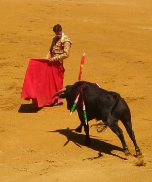 Bull_fighter_charge