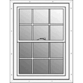 Amazon_window