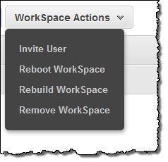 amazon workspaces directory unavailable