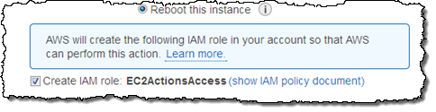 reboot cloudwatch ec2 instance action role permission describe functions call