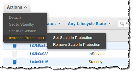 AWS Instance Protection