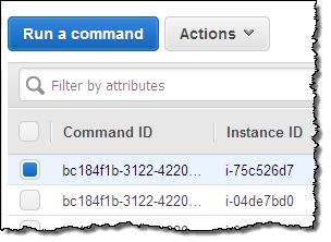 instaling Run-Command 6.01