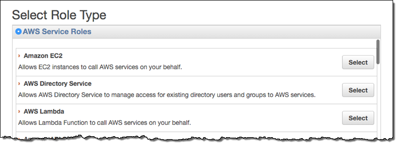 datadog iam select role type 1