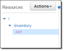 Amazon API Gateway any methode