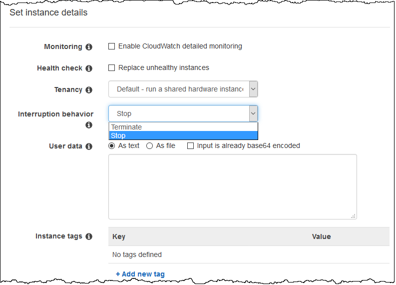 Amazon EC2 Spot introduit le stop and resume pour vos workloads 