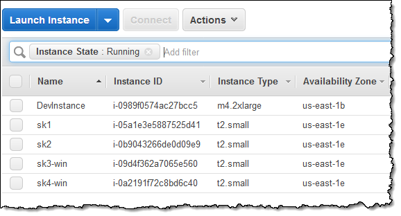 smg ec2 instances 3