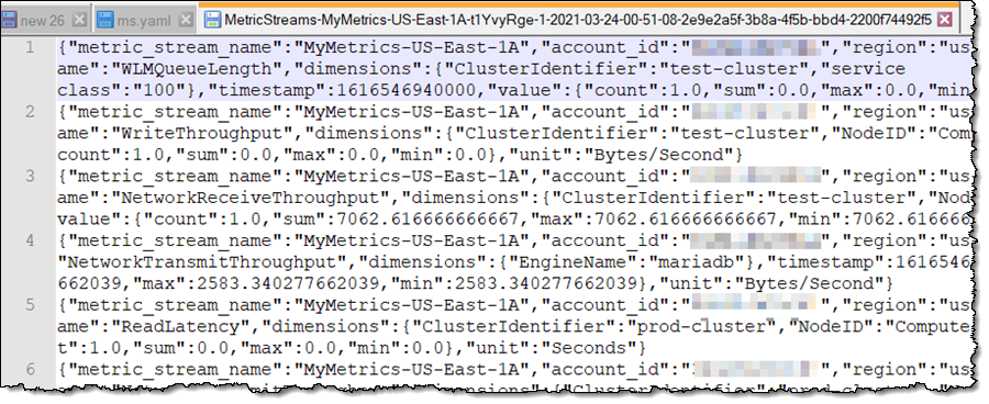 A single Metrics object, shown in NotePad++, JSON format